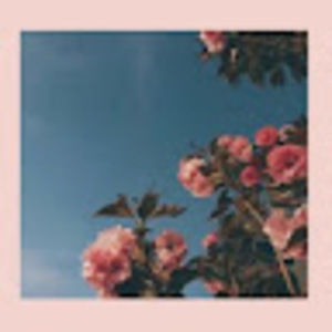 Meet your Posher, Gia